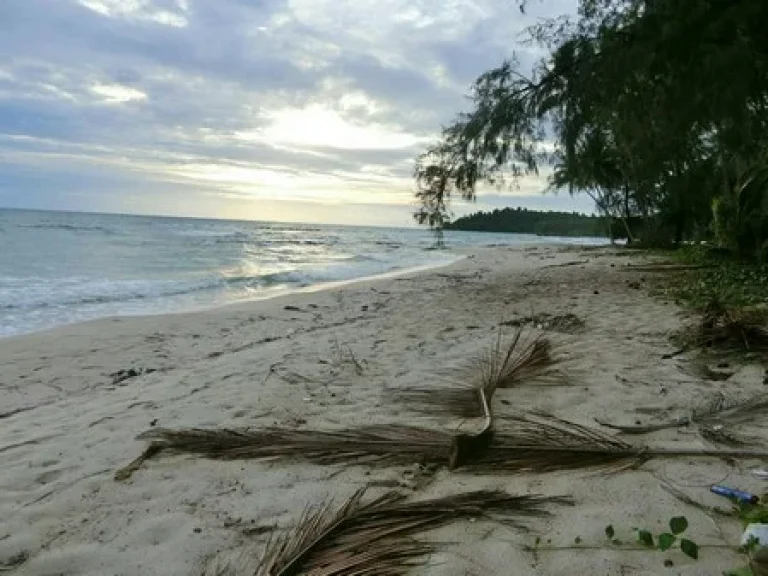 ขายที่ดินชายหาดเกาะกูด จ ตราด เป็นที่ดินที่มีหน้ากว้างติดทะเลผืนสุดท้ายของเกาะกูดม อยู่ทางทิศตะวันตกของเกาะช้าง