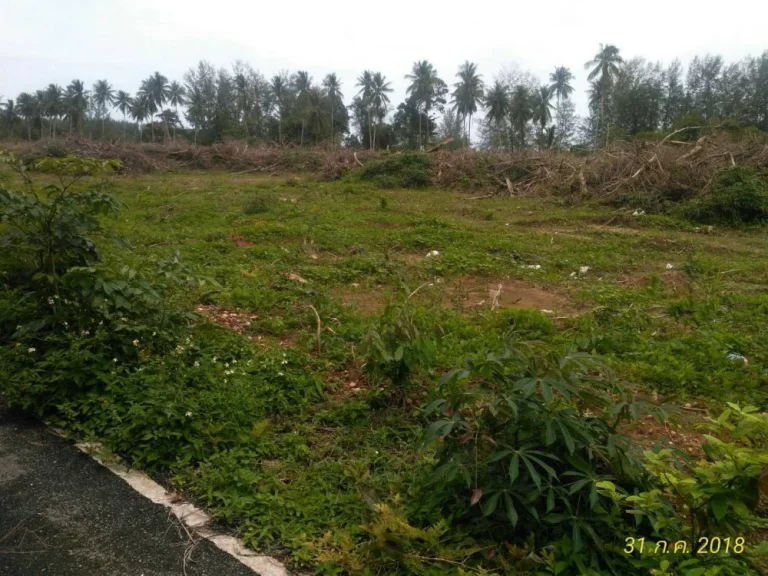 Land for sale at Takuapa Phang Nga ที่ดิน 17 ไร่ ราคา 5015ล้านบาท ใกล้ชายทะเล ตำบลบางม่วง อำเภอตะกั่วป่า จังหวัดพังงา