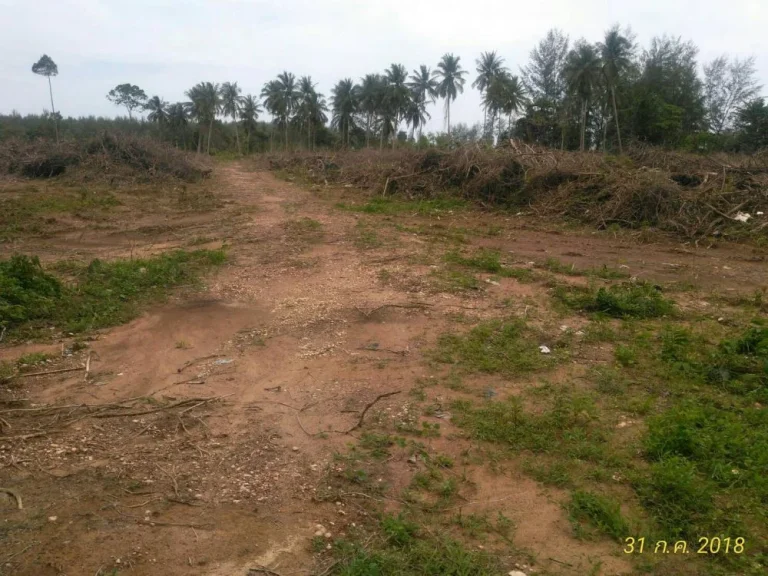 Land for sale at Takuapa Phang Nga ที่ดิน 17 ไร่ ราคา 5015ล้านบาท ใกล้ชายทะเล ตำบลบางม่วง อำเภอตะกั่วป่า จังหวัดพังงา