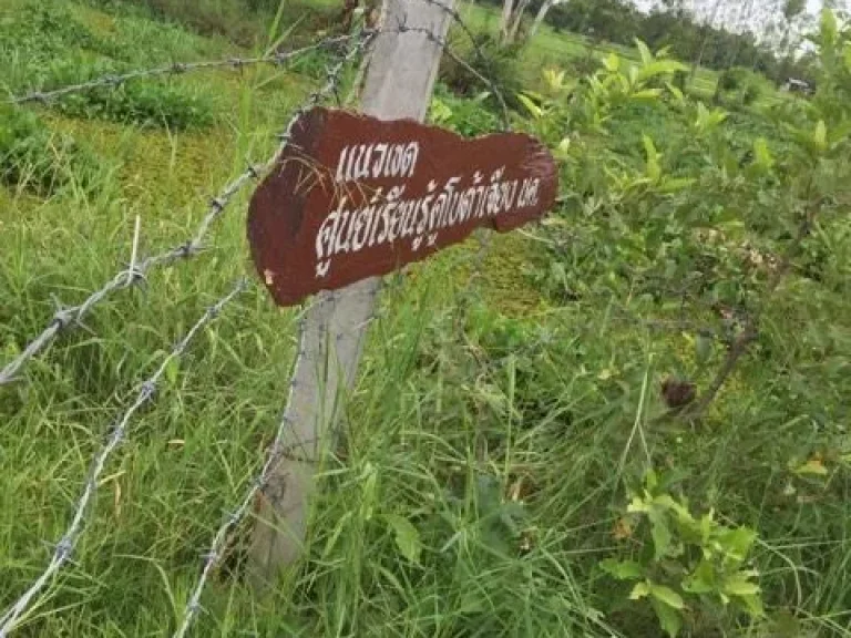 ขายที่ดินค่ายบกหวานติดถนน จหนองคาย