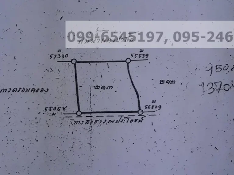 ขายที่ดินแปลงสวย ติดแม่น้ำป่าสัก อท่าเรือ จอยุธยา 5-3-20 ไร่ ราคา 116 ล้าน ติดถนน น้ำไม่ท่วม 099-6545197