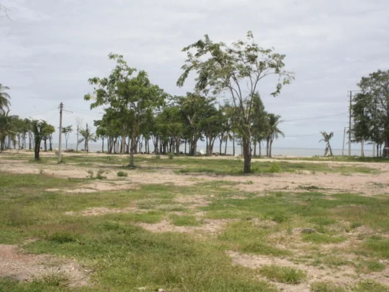 ที่ดินติดทะเลปึกเตียน4ไร่ติดหาดเพชรรีสอร์ท แบ่งขายได้