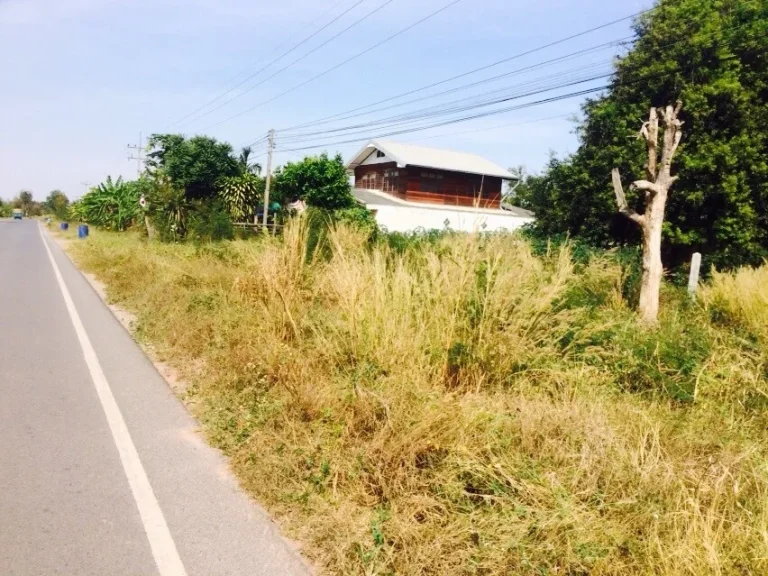 ขายที่ดินติดถนน บ้านนาใหญ่ ตำบลนากลาง จังหวัดนครราชสีมา