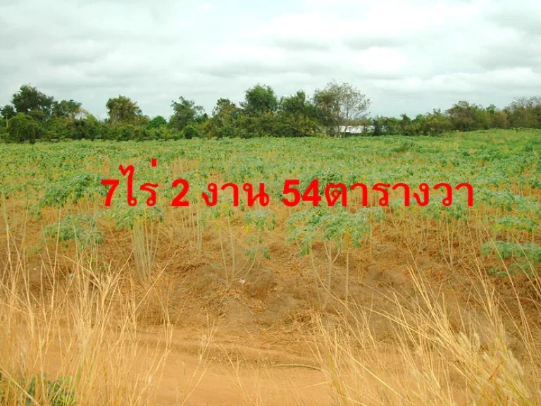 ขายที่ดิน อศรีมหาโพธิ จปราจีนบุรี 7ไร่ ใกล้ นิคมฯ304ไร่ละ 2ล้านบาท เท่านั้น