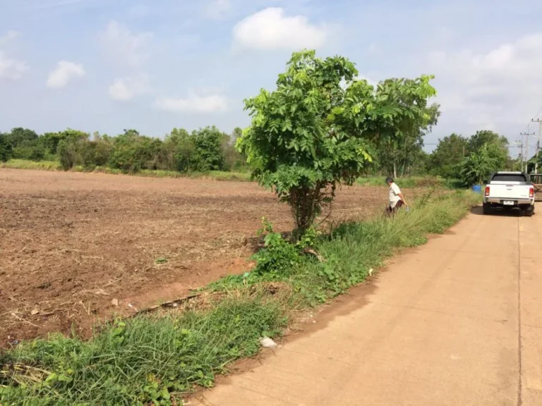 ที่ดินให้เช่า 5 ไร่ ตั้งอยู่ อำเภอเมือง จังหวัดสระแก้ว ที่ทำเลดี เดินทางสะดวก ที่อยู่ห่างจากถนน 8 เลนส์ 5 กิโล อยู่ห่างจากบิ๊กซีสระแก้ว 5 กิโล เหมาะกั