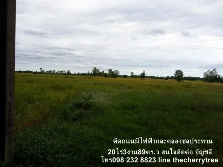 ขายที่ดินกาฬสินธุ์ บ้านโคกศรี 20ไร่ มีน้ำไฟใกล้ตัวเมือง ราคาเพียง5ล้าน