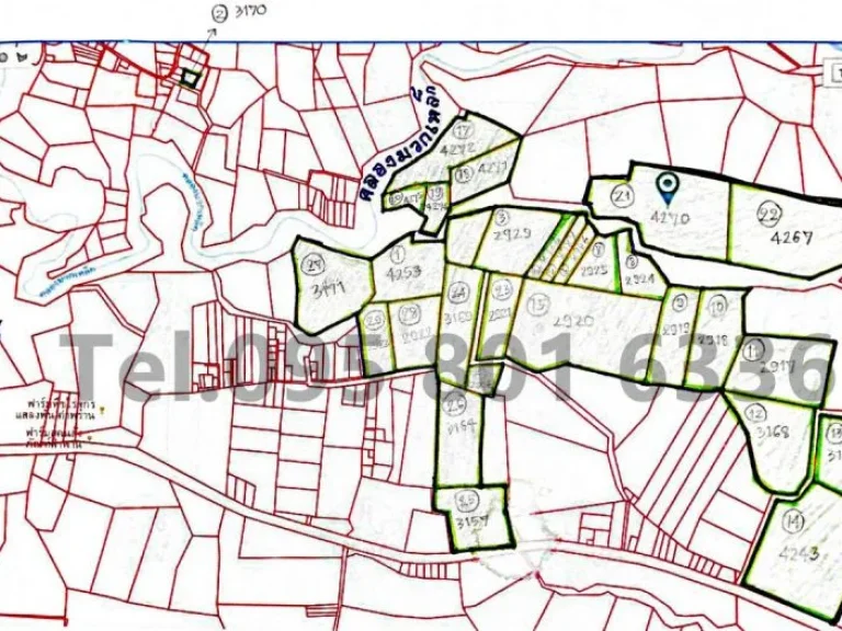 ที่ดินเปล่า 550 ไร่ ตแสลงพัน อวังม่วง จสระบุรี