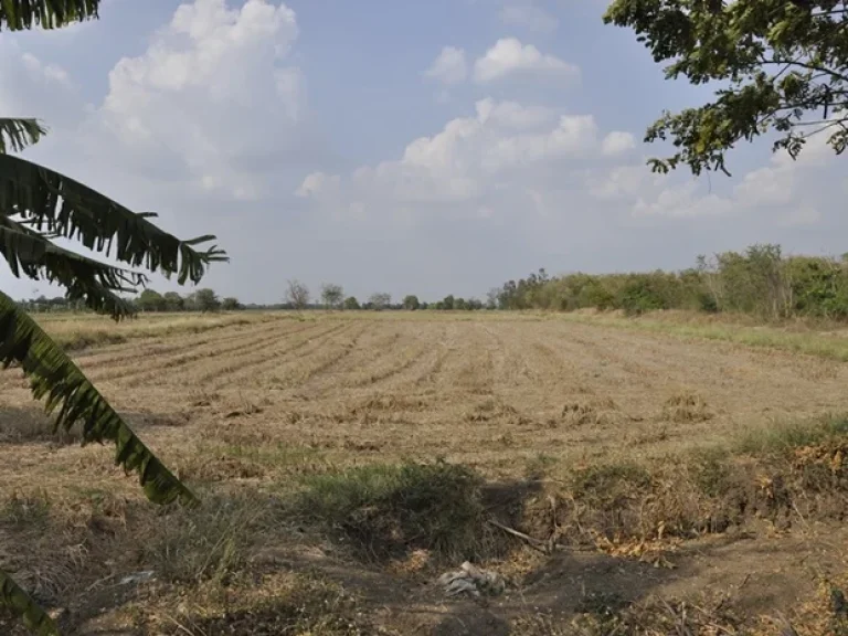 ขายที่ดิน 35 ไร่ เส้นนครหลวง-ภาชี จอยุธยา