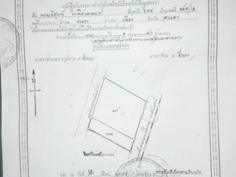 ขายที่ดิน 8 ไร่ ทำเลดี ติดถนน ใกล้การไฟฟ้า พังลา