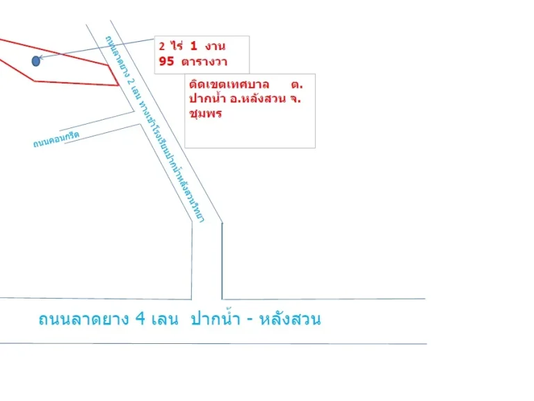 ขายที่ดินสวนปาล์ม 25 ไร่ ติดถนนลาดยาง ทางเข้า รร ปากน้ำหลังสวน