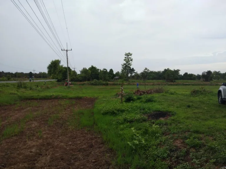 ขายที่ดินวาปีปทุม ติดถนนสายวาปีปทุม-อำเภอเมืองมหาสารคาม