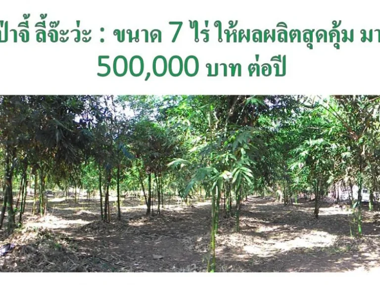 ขายสวนเกษตรพอเพียง ให้ผลผลิต 500000 บาทต่อปี