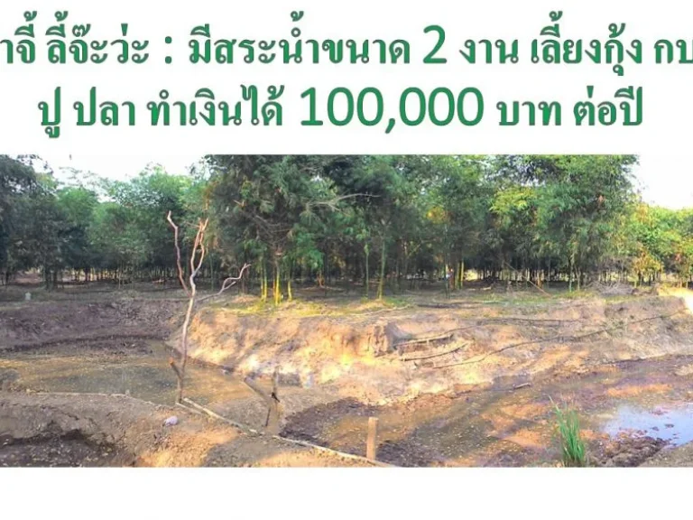 ขายสวนเกษตรพอเพียง ให้ผลผลิต 500000 บาทต่อปี