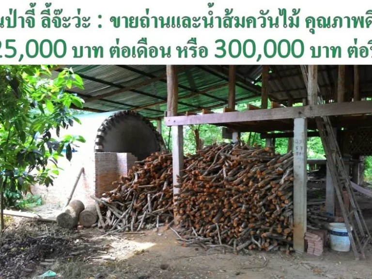 ขายสวนเกษตรพอเพียง ให้ผลผลิต 500000 บาทต่อปี