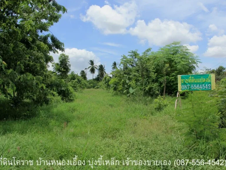 ที่ดินถมแล้ว 1 ไร่ 1 งาน 46 ตรว บ้านหนองเอื้อง ถนาตะโครก-กุดเวียน ตบุ่งขี้เหล็ก อสูงเนิน จนครราชสีมา