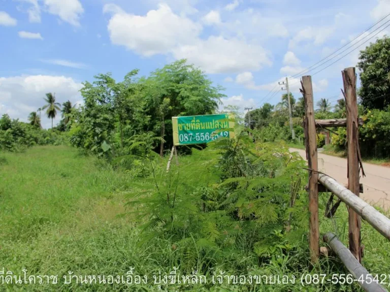 ที่ดินถมแล้ว 1 ไร่ 1 งาน 46 ตรว บ้านหนองเอื้อง ถนาตะโครก-กุดเวียน ตบุ่งขี้เหล็ก อสูงเนิน จนครราชสีมา