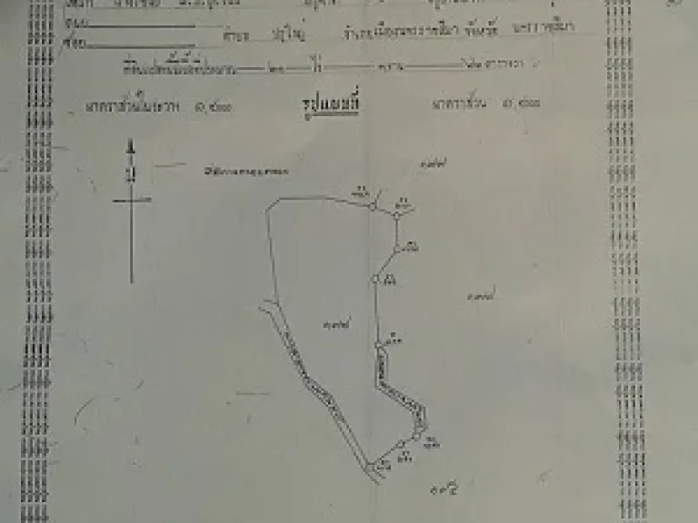 ขายด่วนที่ดินเพื่อการเกษตรมีถนนตัดผ่าน