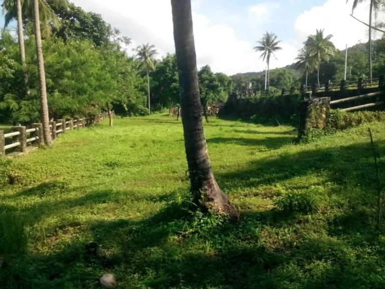 ขายที่ดินสวยมาก ติดถนนใหญ่สุขุมวิท4เลน สุดชายแดนตะวันออก