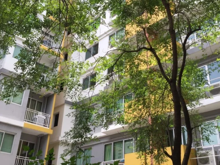 ขายคอนโด มายคอนโด สุขุมวิท 81 ห้อง 35 ตรม My Condo Sukhumvit ห้องสวย BTS อ่อนนุช