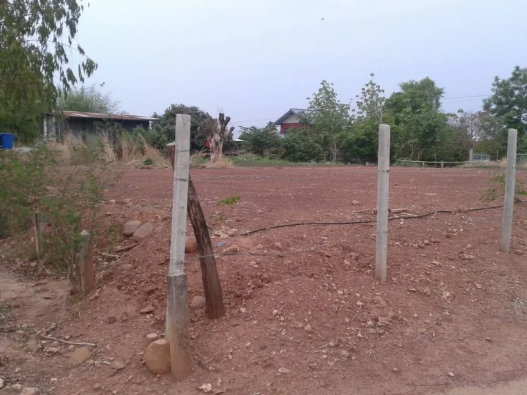 ขายที่ดินสวย หนองบัวแดง ชัยภูมิ 1300000 ฟรีค่าโอน เจ้าของที่ขายเอง ไม่มีนายหน้า