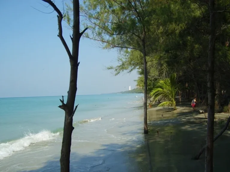 ขายที่ดินเปล่าติดหาดLarge Land Beachfront 48 Rais Tourism Source with Chanote Rayong