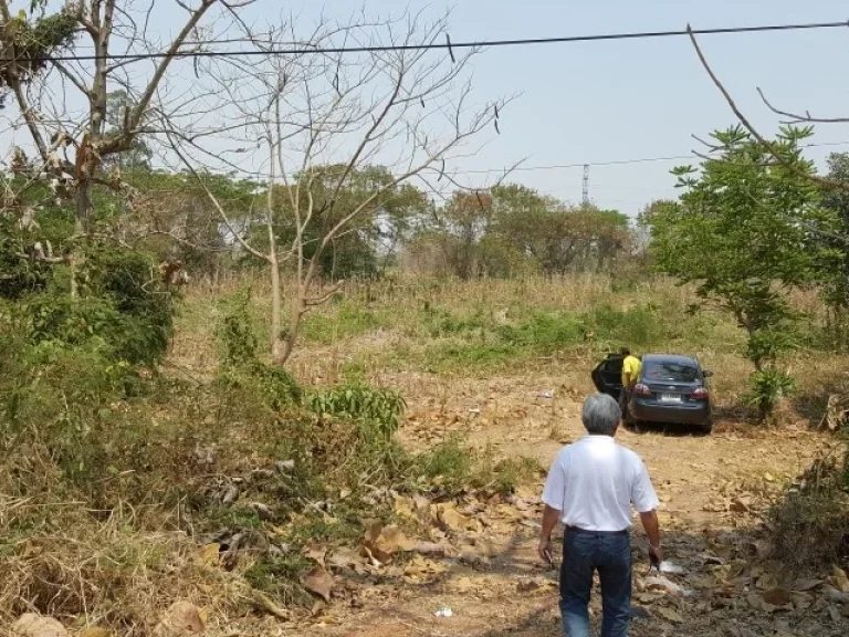 ขายที่ดิน จกำแพงเพชร ติด ถพหลโยธิน สายเอเซีย ตาก-กำแพงเพชร