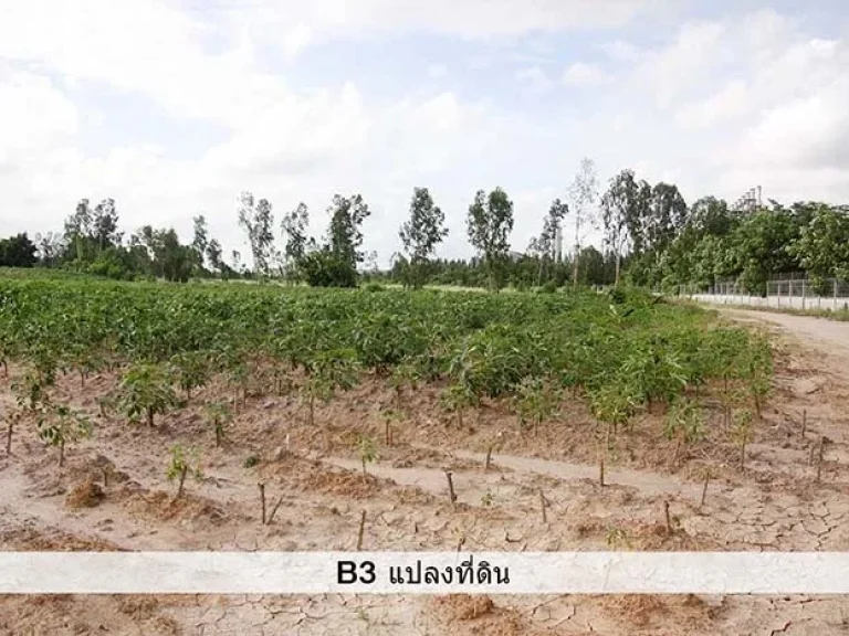 ที่ดินถนนเสริมสุวรรณ ติดนิคมฯ RIL มาบตาพุด