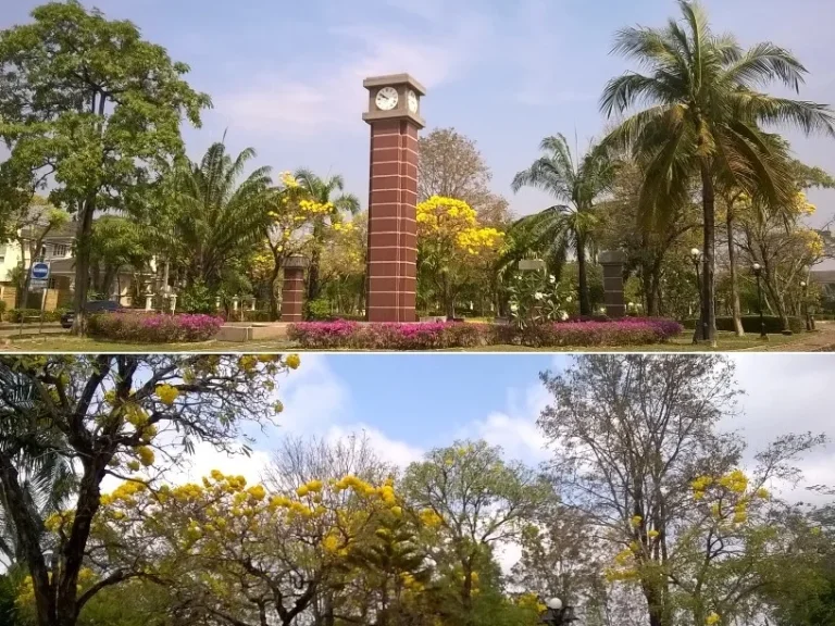 บ้านเดี่ยว พระรามสองขาเข้า 10 นาทีเซ็ลทรัล 15 นาทีด่วนดาวคะนอง พฤกษภิรมย์