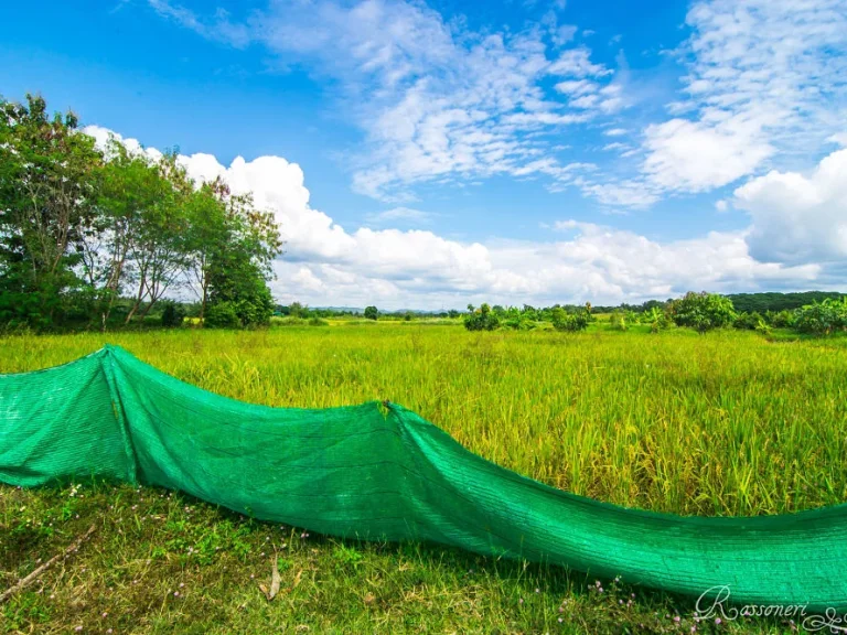 ขายกิจการ โรงงานบด-ตัดแต่ง แร่ดินขาว พร้อมที่ดิน อเมือง จลำปาง