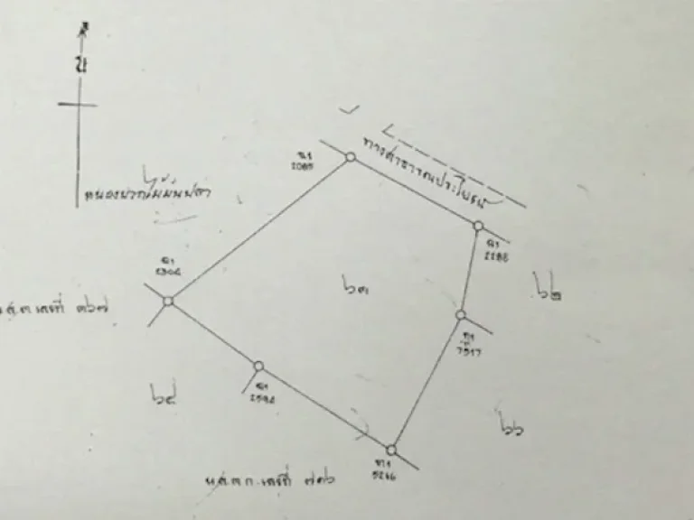 ขายที่ดินราคาถูก จังหวัดเชียงราย ตำบลเมืองชุม อำเภอเวียงชัยเจ้าของขายเองราคาต่อรองได้ ติดทางหลวง1173