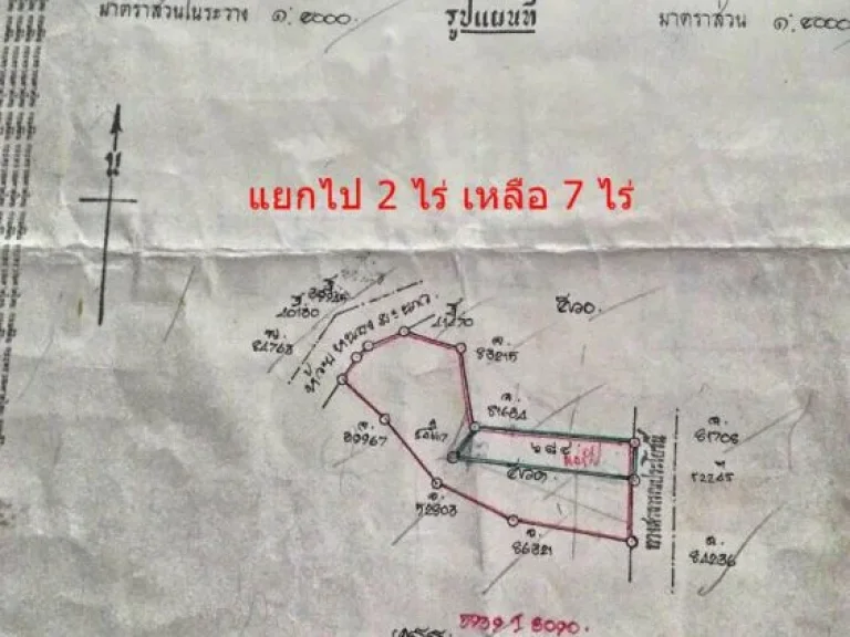 ขายที่ดิน 7 ไร่ บหนองมะเขือ ตขามใหญ่ อเมือง จอุบลราชธานี