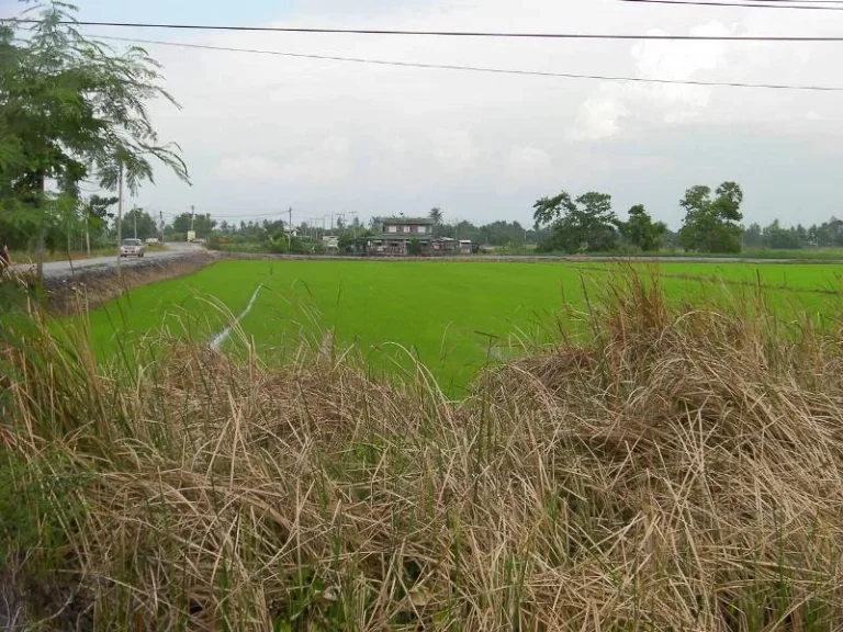 ขายที่ดิน ลาดบัวหลวงติดถนน สุพรรณบุรี-บางบัวทองสาย 340 16 ไร่