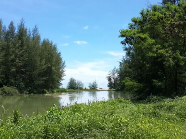 ที่ดินเปล่าเขาหลัก หาดบางเนียง