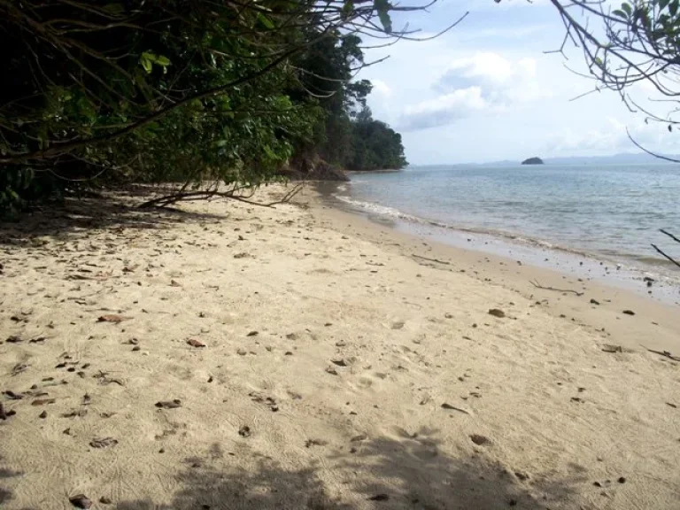 ขายที่ดินเกาะสิเหร่ ภูเก็ต หาดส่วนตัว 320 ไร่ฯละ 15 ล้านบาท