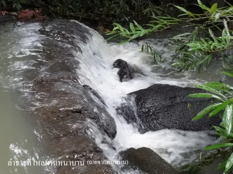 Brookside Valleyบ้านให้เช่าหรือขายระยองบ้านในหุบเขาสวยใหม่