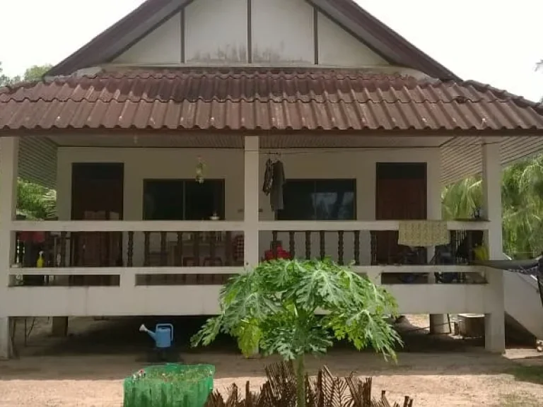 Sea view House for Rent at SathingPhra beachSongkhla