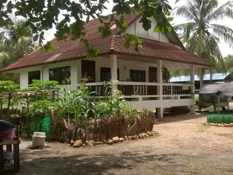 Sea view House for Rent at SathingPhra beachSongkhla