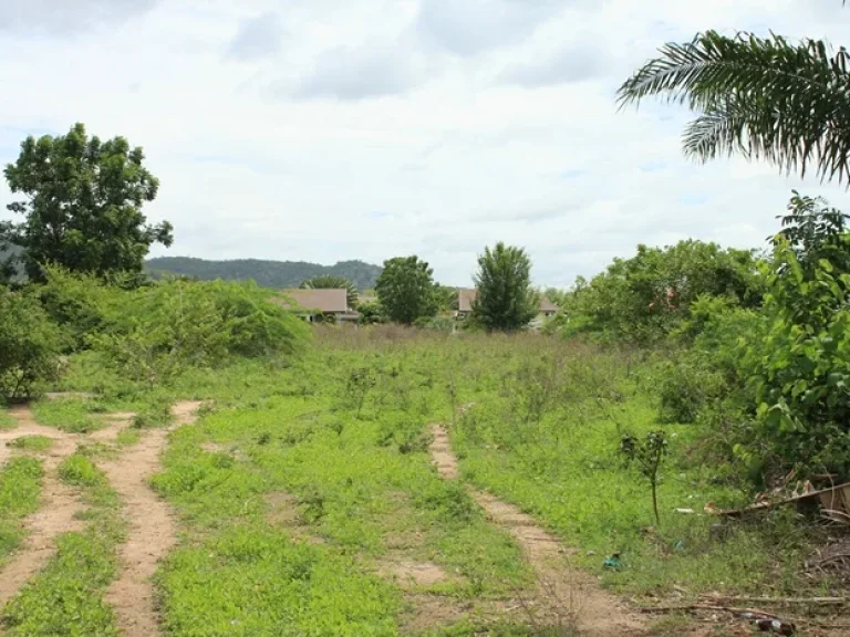 ที่ดิน 8ไร่ ตำบลหัวหิน อำเภอหัวหิน จังหวัดประจวบคีรีขันธ์