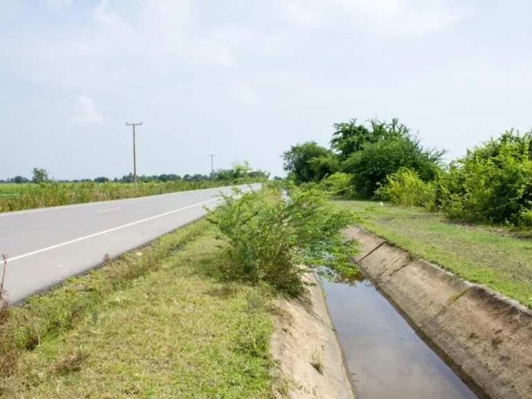 ที่ดิน8ไร่ทำเลดี ตำบลหาดเจ้าสำราญ อำเภอเมืองเพชร จังหวัดเพชรบุรี