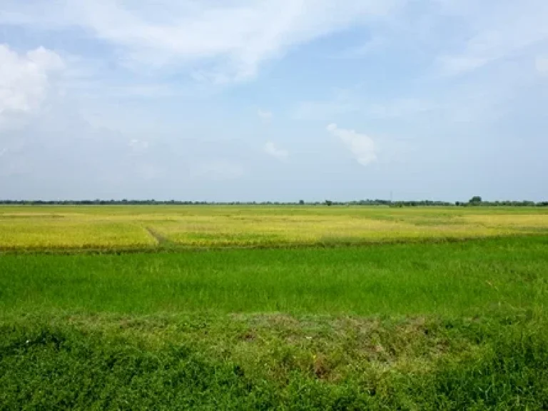 ที่ดิน8ไร่ทำเลดี ตำบลหาดเจ้าสำราญ อำเภอเมืองเพชร จังหวัดเพชรบุรี