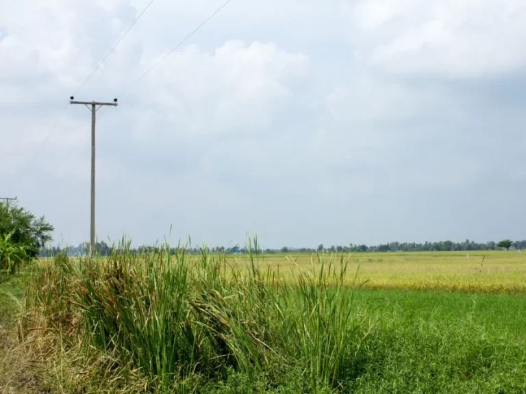 ที่ดิน8ไร่ทำเลดี ตำบลหาดเจ้าสำราญ อำเภอเมืองเพชร จังหวัดเพชรบุรี