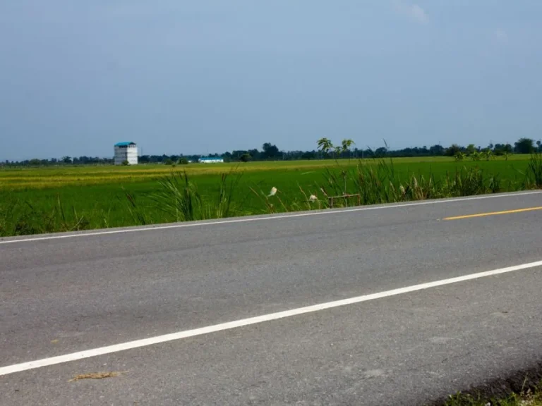 ที่ดิน8ไร่ทำเลดี ตำบลหาดเจ้าสำราญ อำเภอเมืองเพชร จังหวัดเพชรบุรี