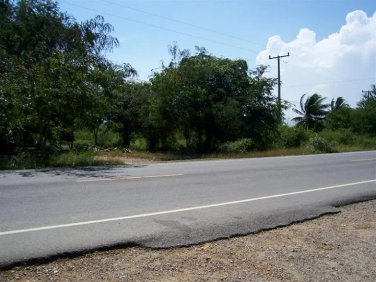 ขายที่ดิน 9 ไร่หาดเจ้าสำราญห่างจากทะเล300เมตรจังหวัดเพชรบุรี