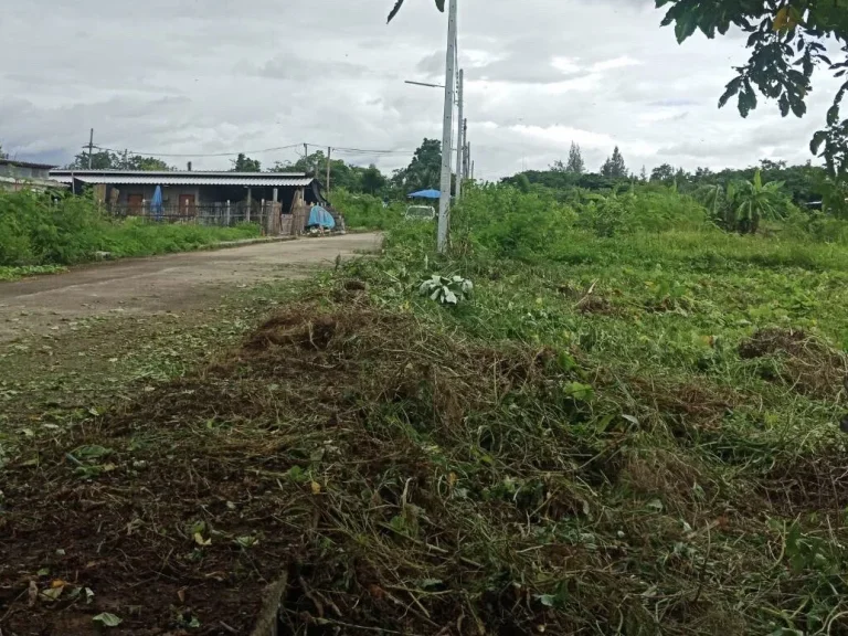 ขายที่ดินแม่ปูคา สันกำแพง ร่มรื่น ราคาถูก