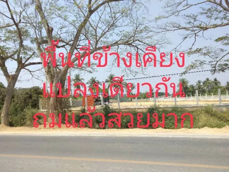 ขายที่ดินไร่มะนาวเก่า อำเภอท่ายาง จังหวัดเพชรบุรี