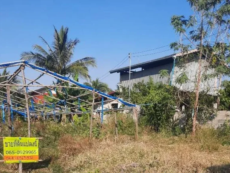 ขายที่ดินเปล่า บ้านโนนศิลา ถมแล้ว ตหนองข่า อเกษตรสมบูรณ์ จชัยภูมิ