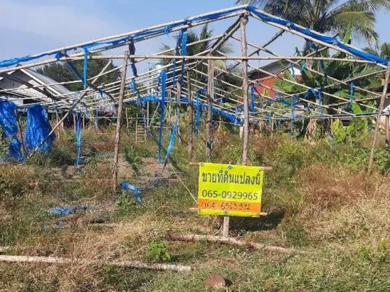 ขายที่ดินเปล่า บ้านโนนศิลา ถมแล้ว ตหนองข่า อเกษตรสมบูรณ์ จชัยภูมิ