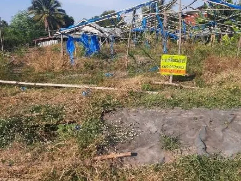 ขายที่ดินเปล่า บ้านโนนศิลา ถมแล้ว ตหนองข่า อเกษตรสมบูรณ์ จชัยภูมิ