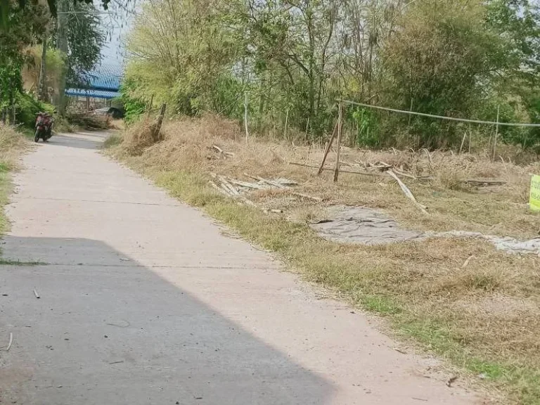 ขายที่ดินเปล่า บ้านโนนศิลา ถมแล้ว ตหนองข่า อเกษตรสมบูรณ์ จชัยภูมิ