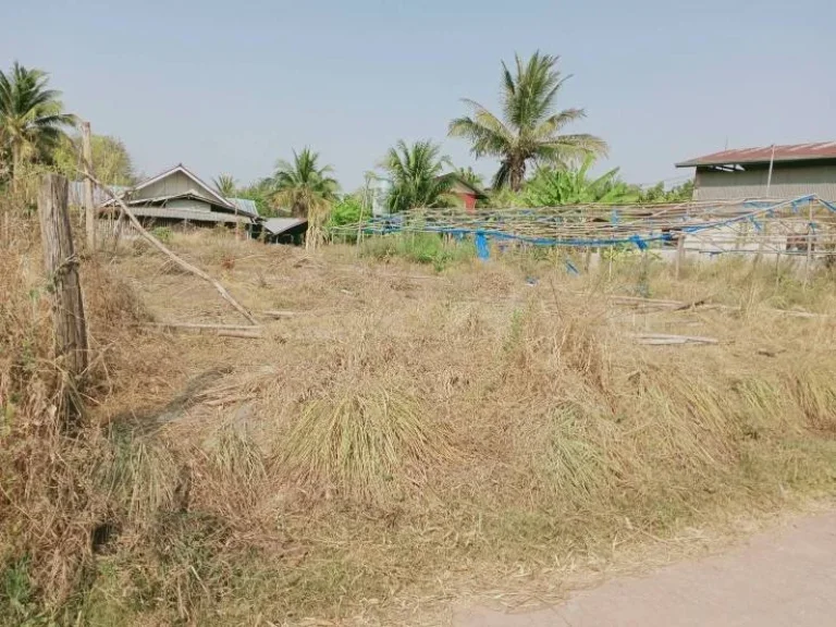 ขายที่ดินเปล่า บ้านโนนศิลา ถมแล้ว ตหนองข่า อเกษตรสมบูรณ์ จชัยภูมิ